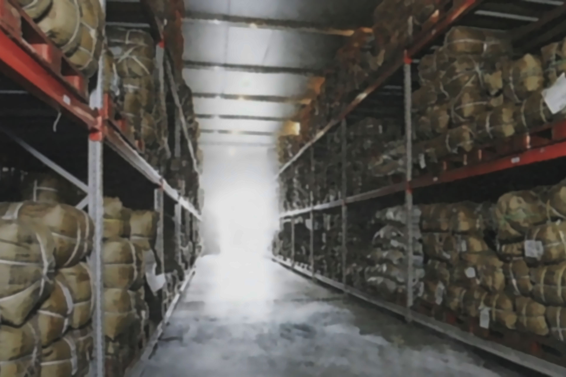 茶葉を保管する大型冷凍冷蔵庫